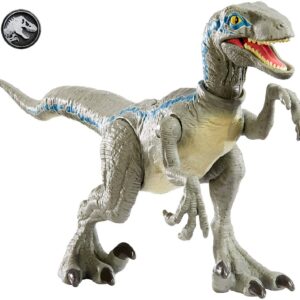 Jurassic World- Velociraptor Blue Colpo Selvaggi Dinosauro in Taglia Ridotta, Giocattolo per Bambini 4 + Anni, GFG67