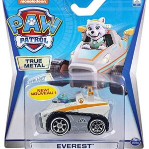 Spin Master Paw Patrol EVEREST Die Cast in Metallo