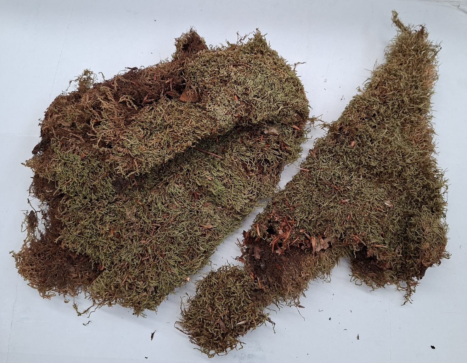 Muschio Naturale per presepe Stock scatolone intero, Accessori e Materiali per Realizzare un Presepe Tradizionale Fai da Te