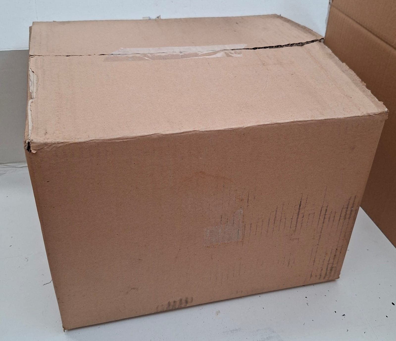 Muschio Naturale per presepe Stock scatolone intero, Accessori e Materiali per Realizzare un Presepe Tradizionale Fai da Te